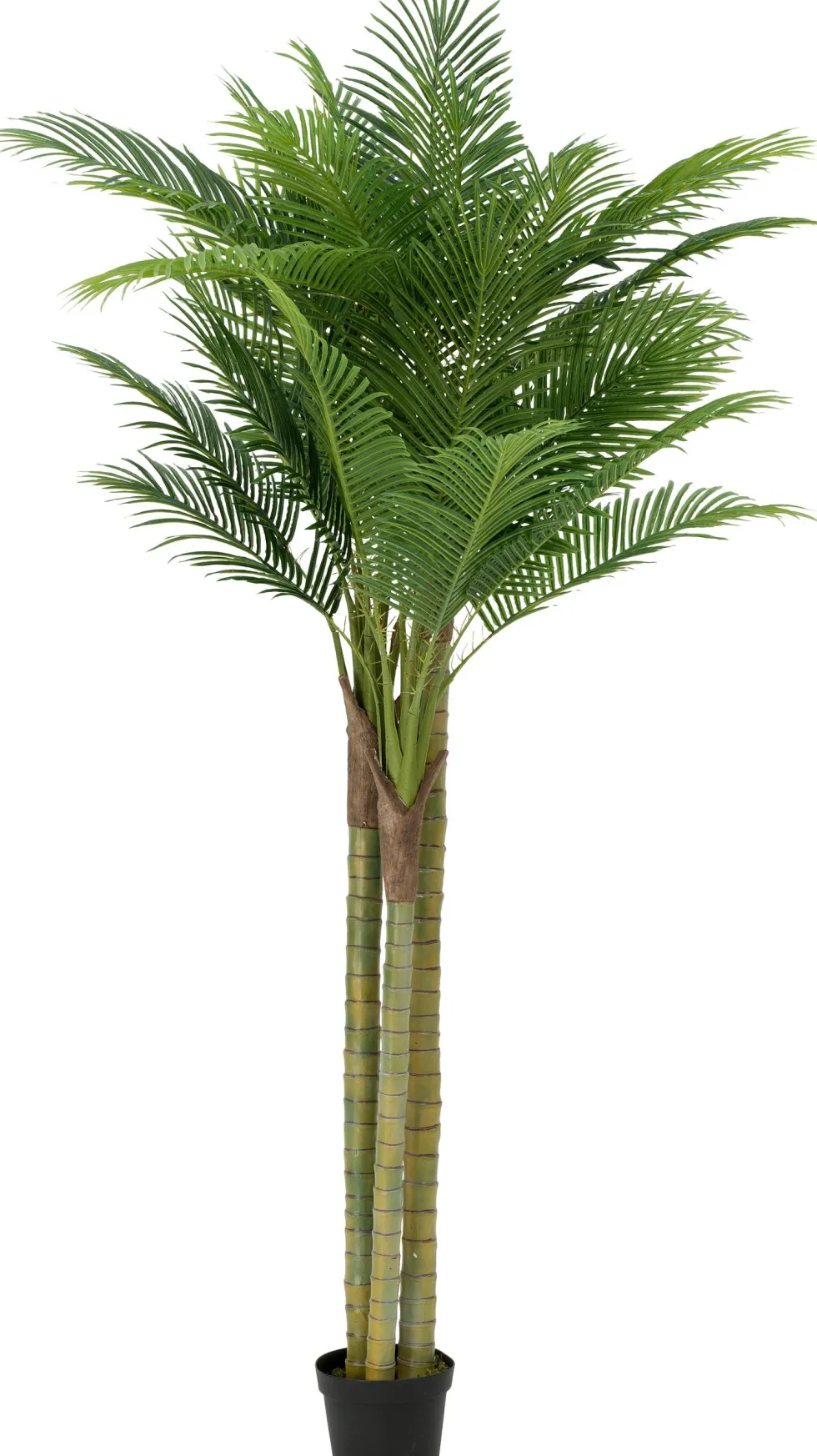 Intratuin kunstplant Goudpalm H 250 cm