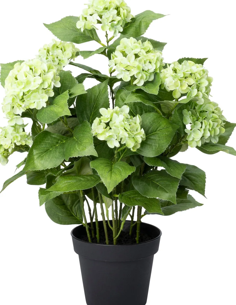Intratuin kunstplant Hortensia groen D 20 H 68 cm