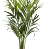 Intratuin kunstplant Kentiapalm D 15.5 H 160 cm