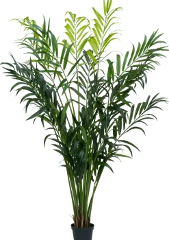Intratuin kunstplant Kentiapalm D 9,5 H 250 cm