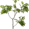 Intratuin kunstplant Kerrieboom D 15 H 150 cm