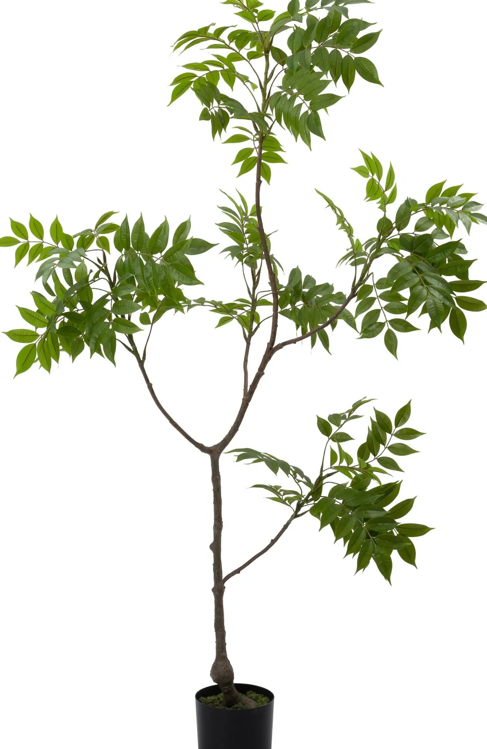 Intratuin kunstplant Kerrieboom D 15 H 150 cm