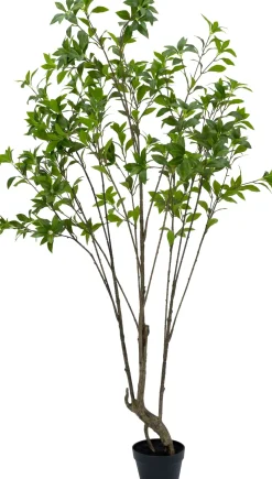 Intratuin kunstplant Kerrieboom D 9 H 240 cm