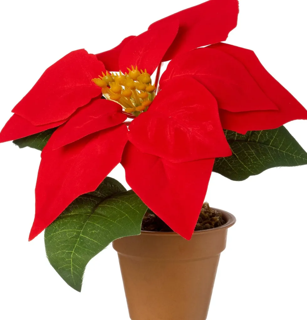 Intratuin kunstplant Kerstster lichtrood H 17 cm