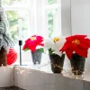 Intratuin kunstplant Kerstster wit H 17 cm