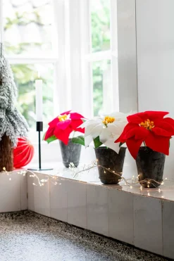 Intratuin kunstplant Kerstster wit H 17 cm