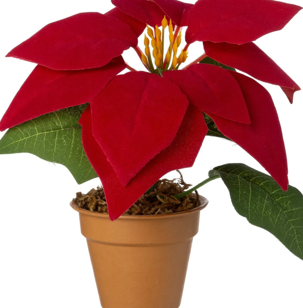 Intratuin kunstplant Kerstster donkerrood H 17 cm