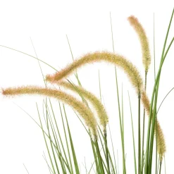 Intratuin kunstplant Lampenpoetsersgras beige D 11 H 60 cm
