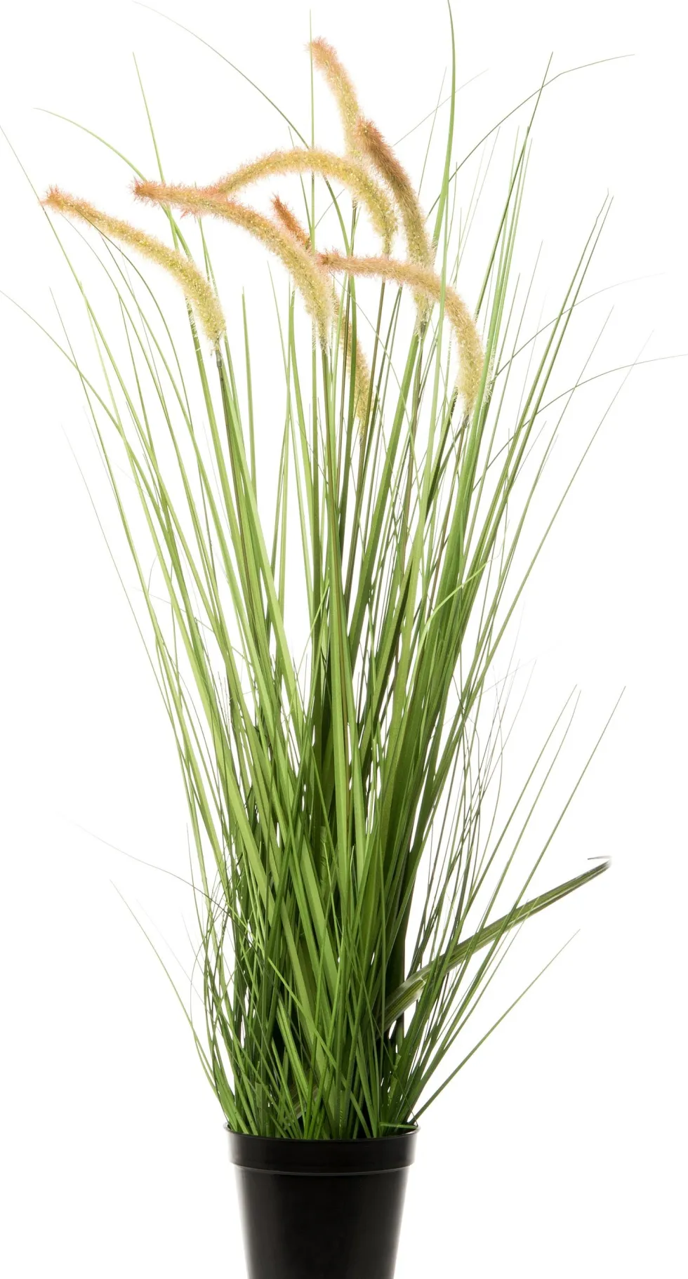 Intratuin kunstplant Lampenpoetsersgras beige D 13 H 80 cm