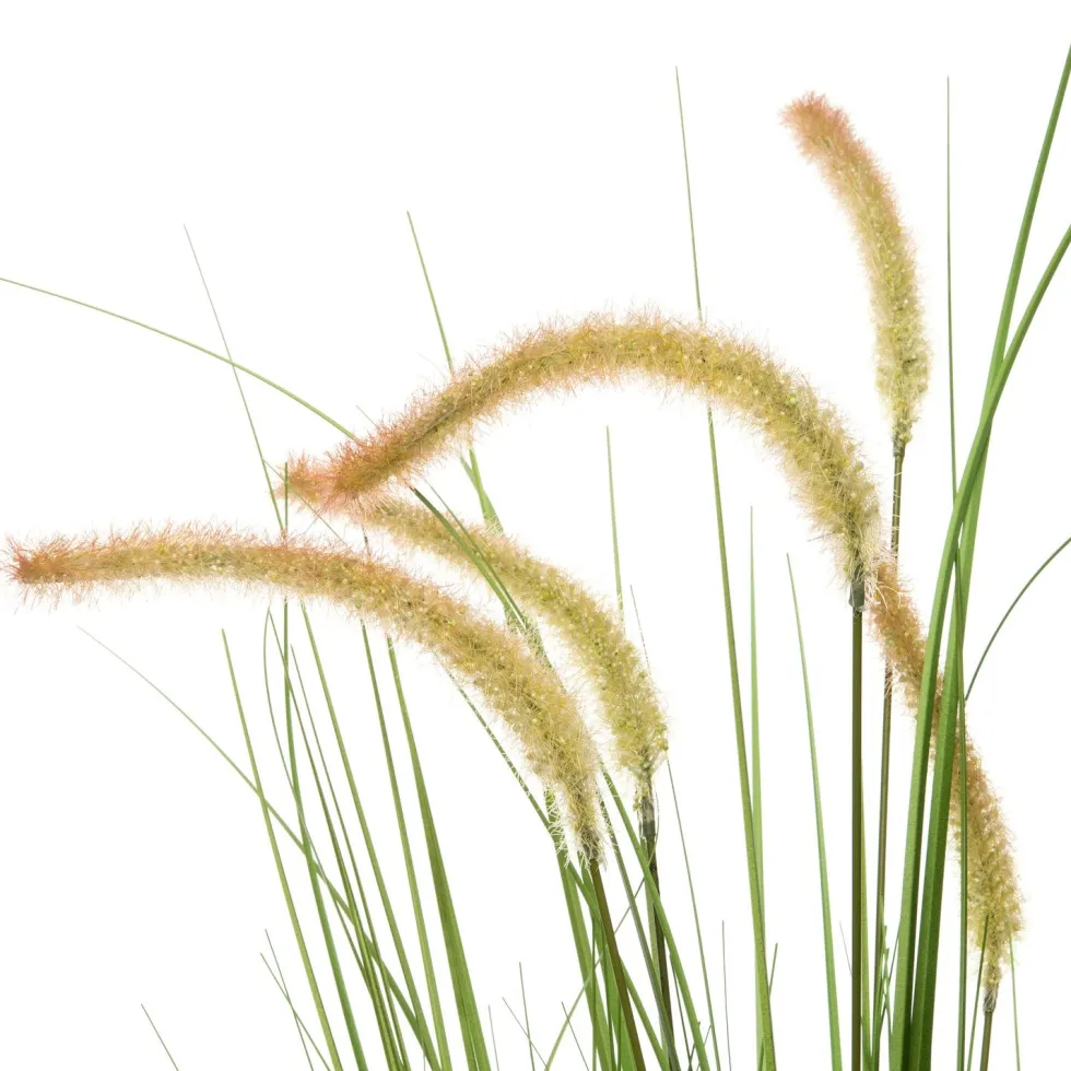 Intratuin kunstplant Lampenpoetsersgras beige D 13 H 80 cm