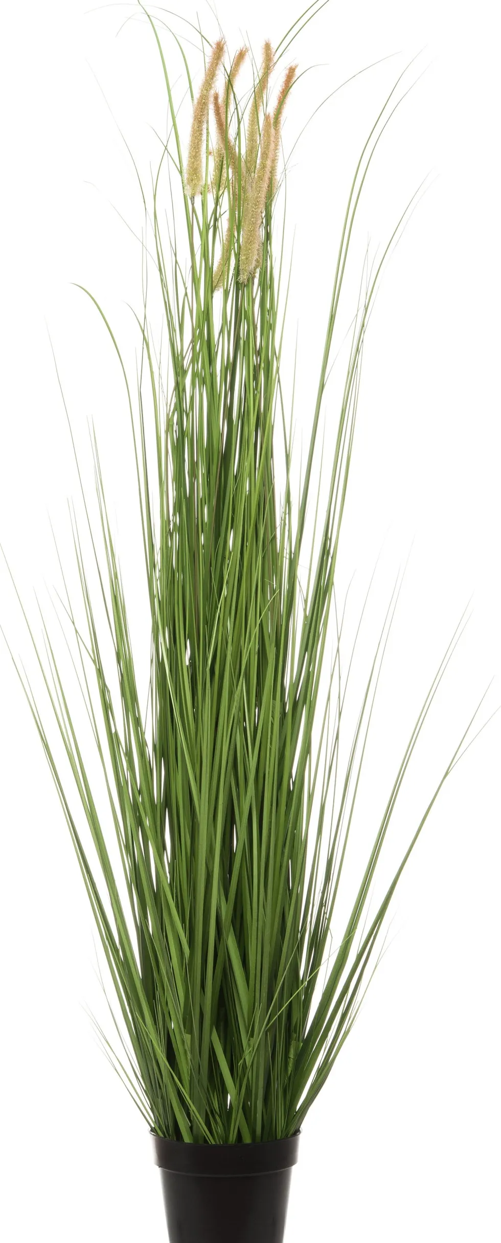 Intratuin kunstplant Lampenpoetsersgras beige H 110 cm