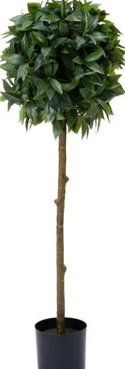 Intratuin kunstplant Laurier D 16,5 H 120 cm