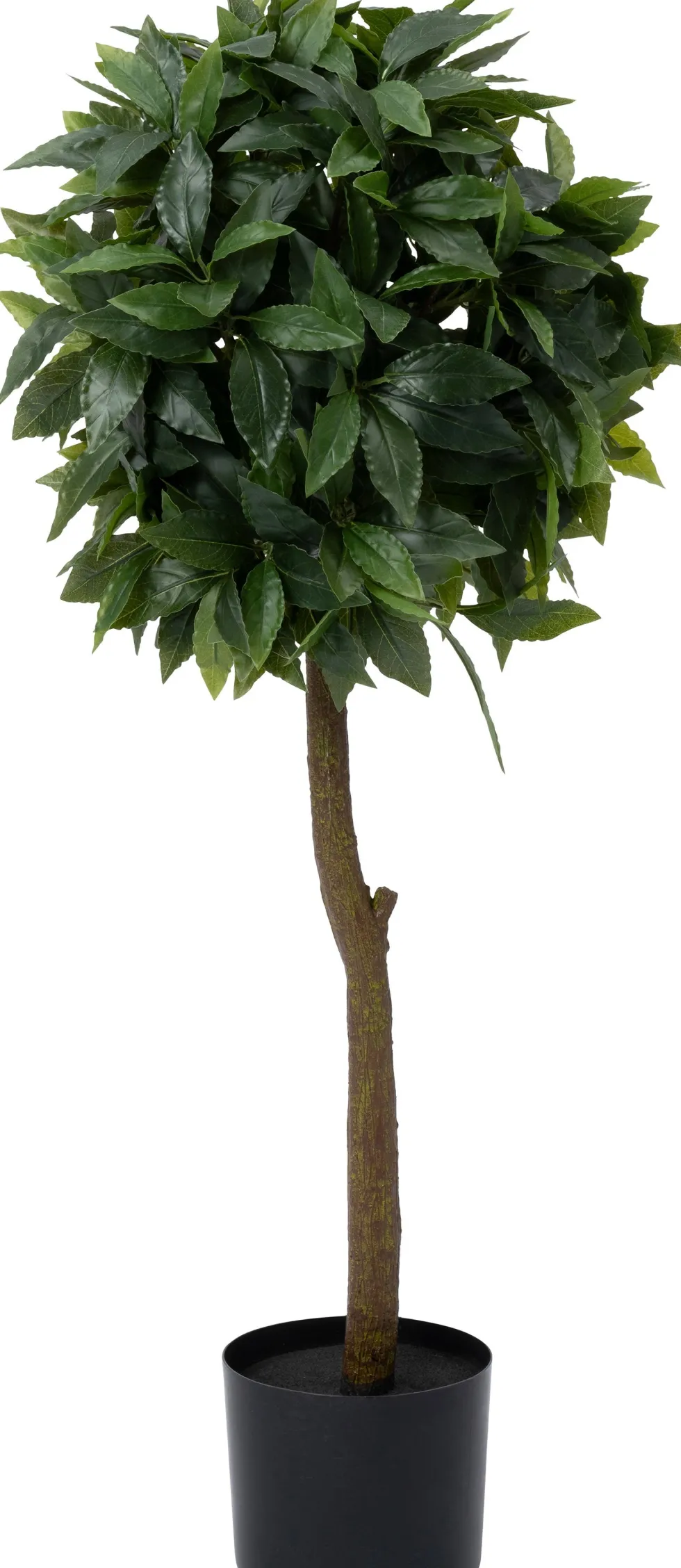 Intratuin kunstplant Laurier D 15,5 H 90 cm