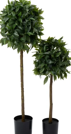 Intratuin kunstplant Laurier D 15,5 H 90 cm