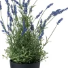 Intratuin kunstplant lavendel paars D 14 H 50 cm