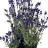 Intratuin kunstplant lavendel paars D 16 H 58 cm