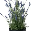 Intratuin kunstplant lavendel paars D 20 H 63,5 cm