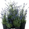 Intratuin kunstplant lavendel paars D 28 H 76 cm