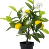 Intratuin kunstplant Limoenboom geel / wit D 8,5 H 38 cm