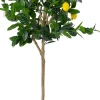 Intratuin kunstplant Limoenboom geel / wit D 18,5 H 155 cm