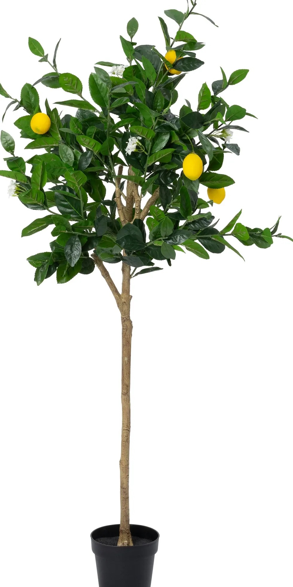 Intratuin kunstplant Limoenboom geel / wit D 18,5 H 155 cm