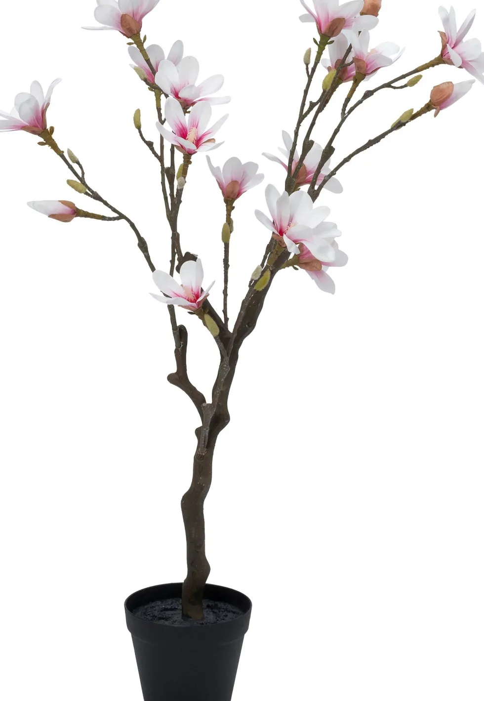 Intratuin kunstplant Magnolia wit / roze D 16 H 98 cm