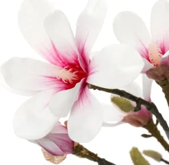Intratuin kunstplant Magnolia wit / roze D 16 H 98 cm