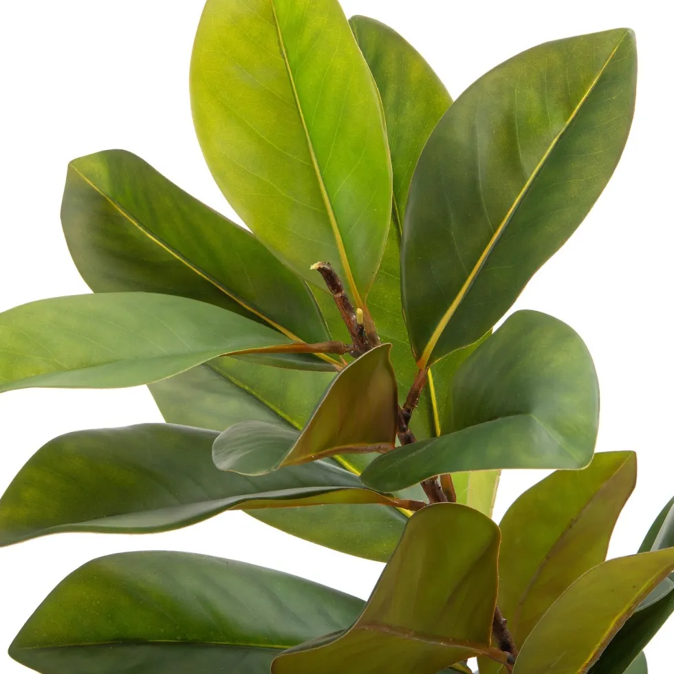 Intratuin kunstplant Magnolia H 160 cm