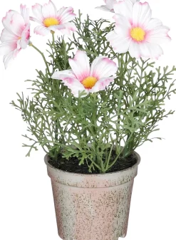 Intratuin kunstplant Margriet roze H 21,5 cm