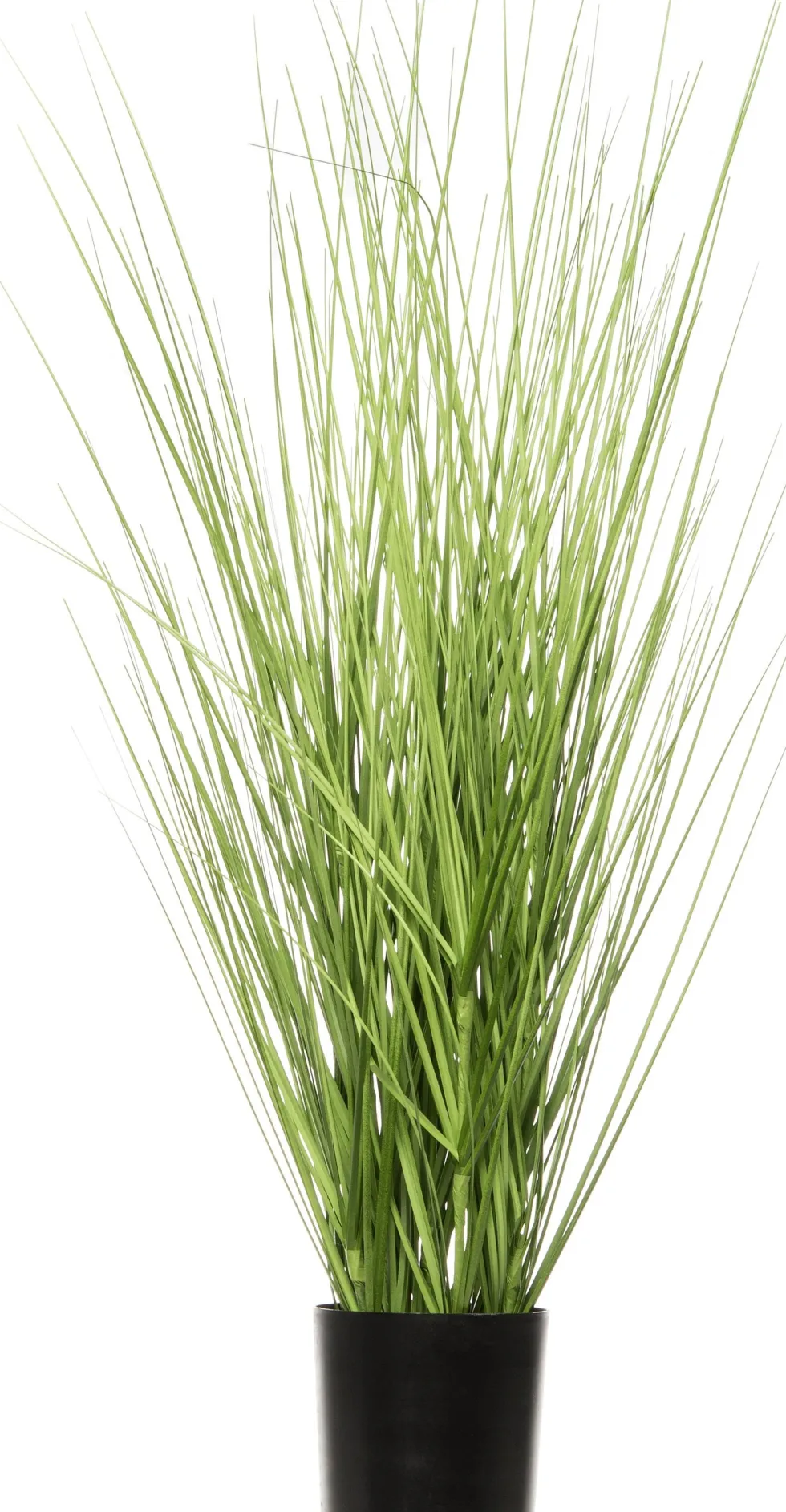 Intratuin kunstplant Miscanthus D 10 H 66 cm