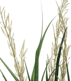Intratuin kunstplant Miscanthus crème H 90 cm
