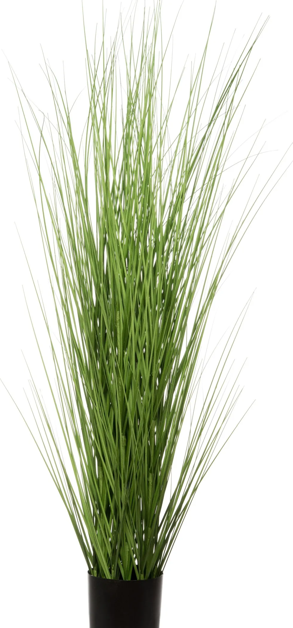Intratuin kunstplant Miscanthus D 15 H 120 cm