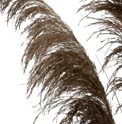 Intratuin kunstplant Miscanthus bruin H 120 cm