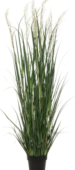 Intratuin kunstplant Miscanthus crème H 160 cm