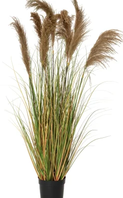 Intratuin kunstplant Miscanthus H 165 cm
