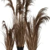 Intratuin kunstplant Miscanthus bruin H 80 cm