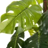 Intratuin kunstplant Monstera D 20 H 140 cm