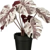 Intratuin kunstplant Monstera paars / wit H 27 cm