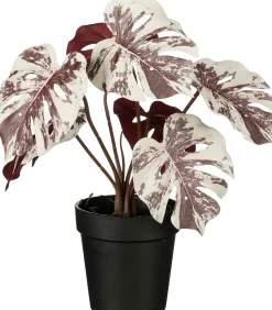 Intratuin kunstplant Monstera paars / wit H 27 cm