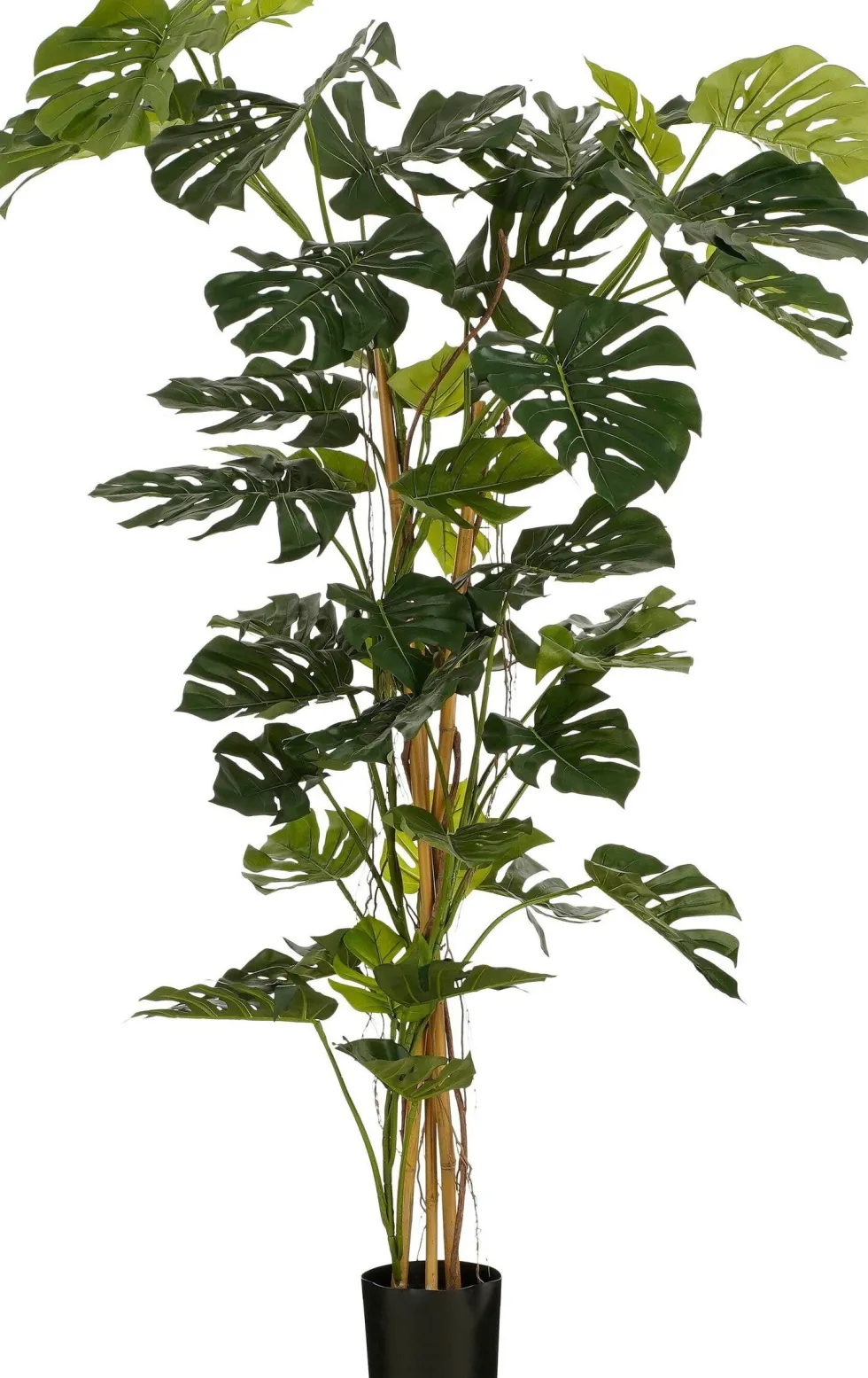 Intratuin kunstplant Monstera H 190 cm