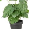 Intratuin kunstplant Monstera D 11 H 30 cm