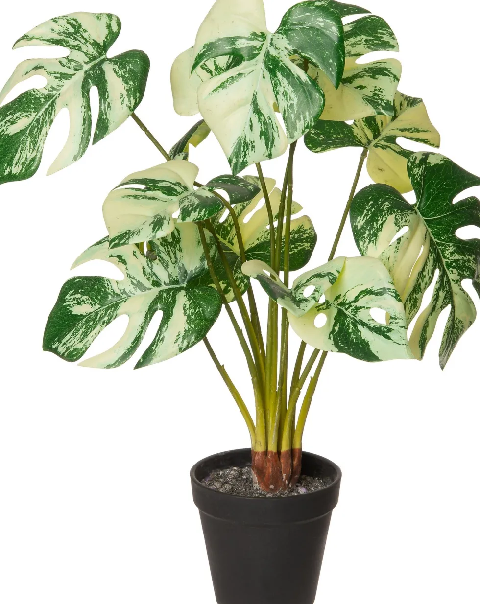 Intratuin kunstplant Monstera groen / wit D 11 H 51 cm