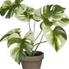 Intratuin kunstplant Monstera groen / wit H 30 cm