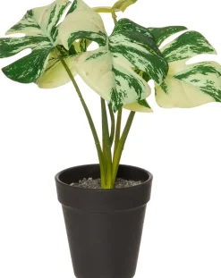 Intratuin kunstplant Monstera groen / wit H 26 cm