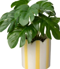 Intratuin kunstplant Monstera geel D 7,5 H 16 cm