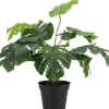 Intratuin kunstplant Monstera D 13 H 40 cm