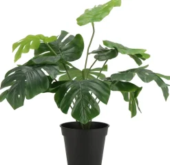 Intratuin kunstplant Monstera D 13 H 40 cm