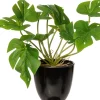 Intratuin kunstplant Monstera H 24 cm