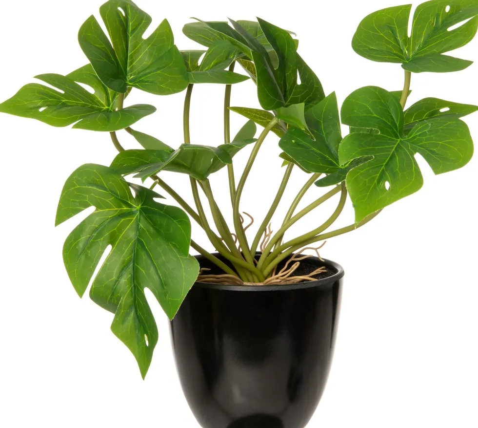 Intratuin kunstplant Monstera H 24 cm