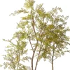Intratuin kunstplant Moringaboom bruin / groen D 23 H 200 cm
